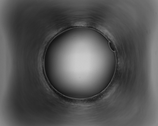 X0000092210529200709210951