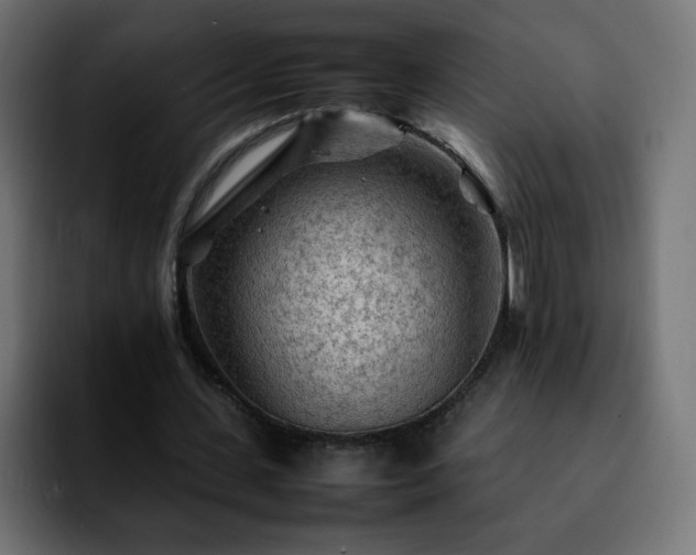 X0000092210531200709210951