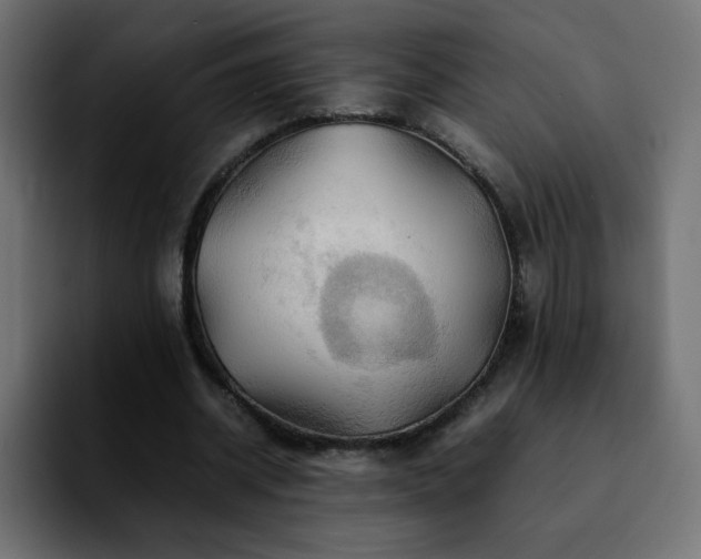 X0000092210534200709210951