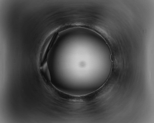 X0000092210535200709210951