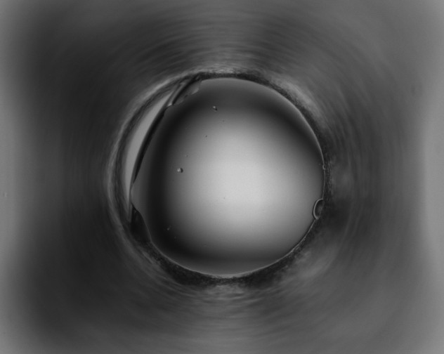 X0000092210536200709210951