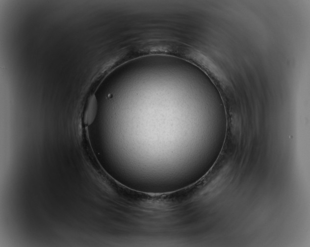 X0000092210537200709210951