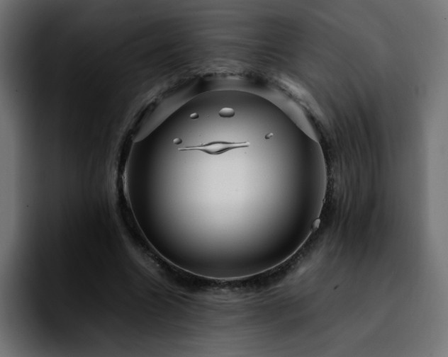 X0000092210538200709210951