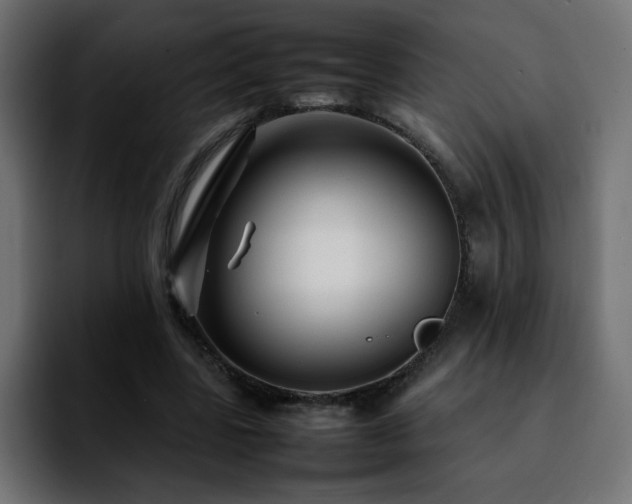 X0000092210539200709210951