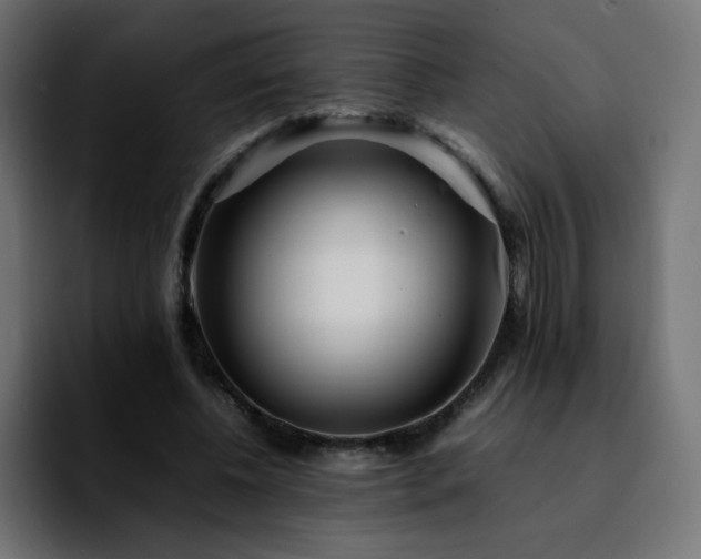 X0000092210540200709210951