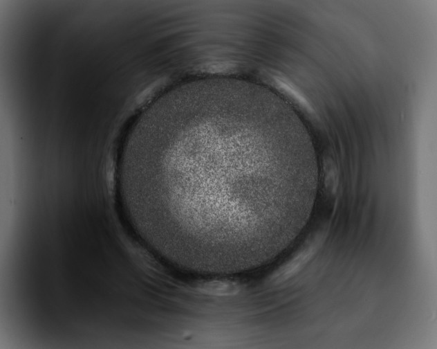 X0000092210542200709210951