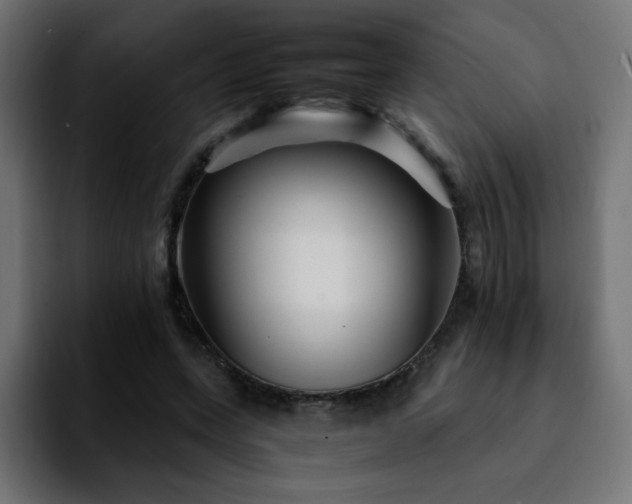 X0000092210543200709210951