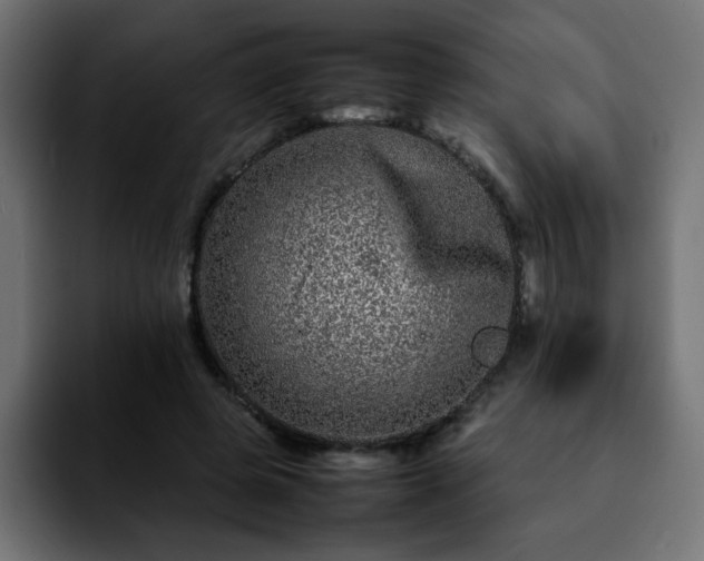 X0000092210545200709210951