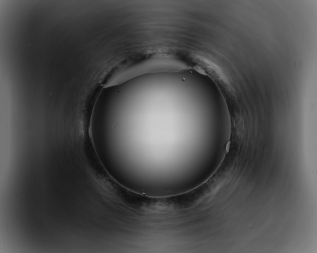 X0000092210546200709210951