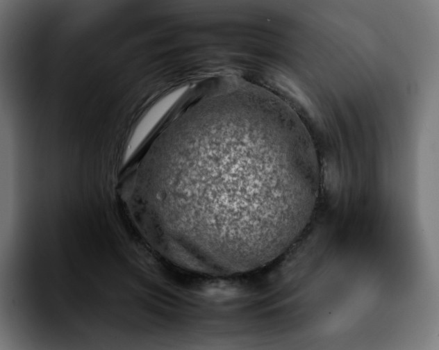 X0000092210549200709210951