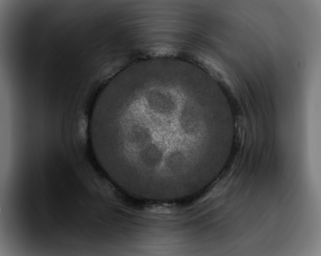 X0000092210550200709210952