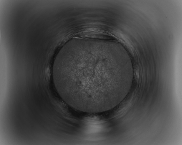 X0000092210551200709210952