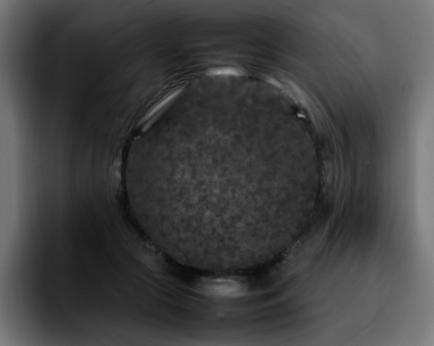 X0000092210553200709210952