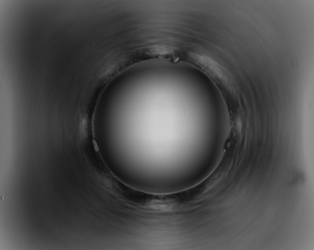 X0000092210556200709210952