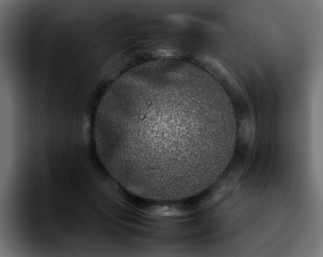 X0000092210557200709210952