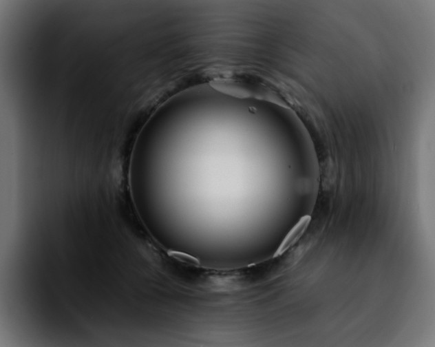 X0000092210560200709210952