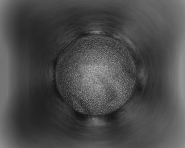 X0000092210565200709210952