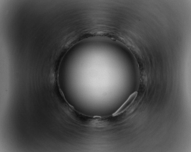 X0000092210568200709210952