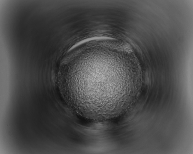 X0000092210569200709210952