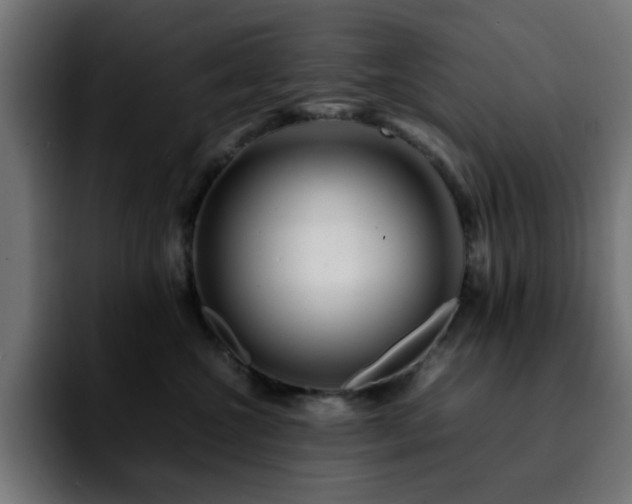 X0000092210572200709210952