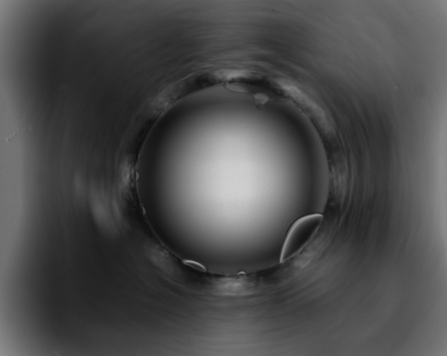 X0000092210574200709210952