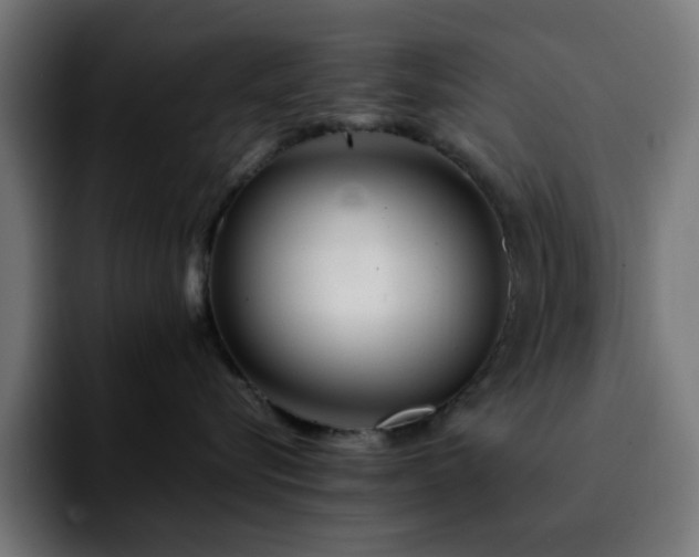 X0000092210576200709210952