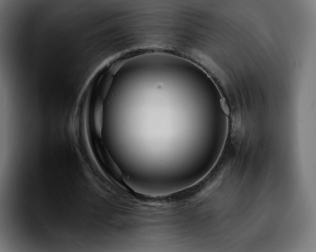 X0000092210580200709210951