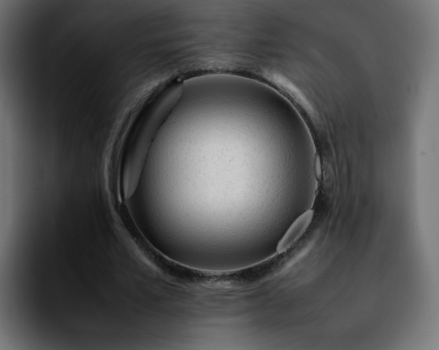 X0000092210581200709210951