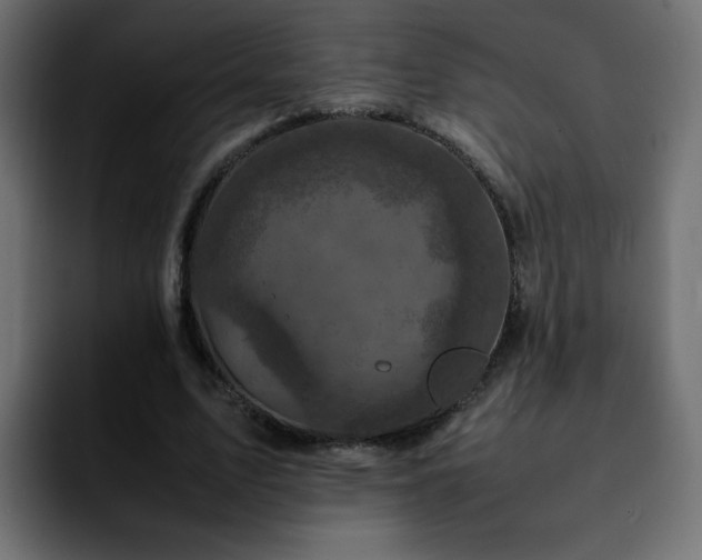 X0000092210583200709210951