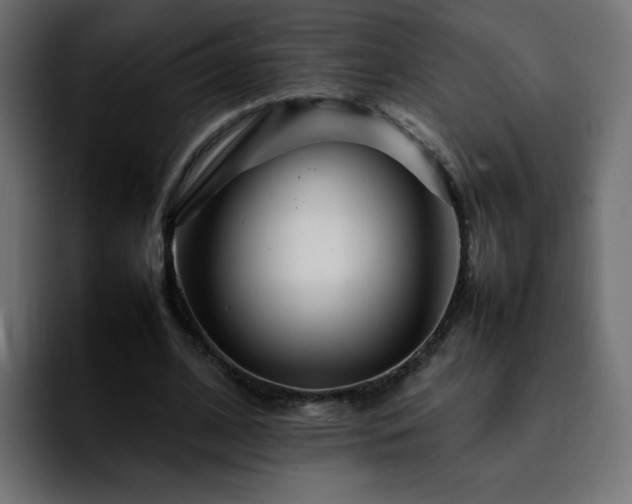 X0000092210584200709210951