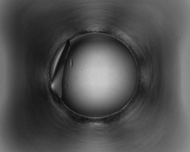 X0000092210586200709210951