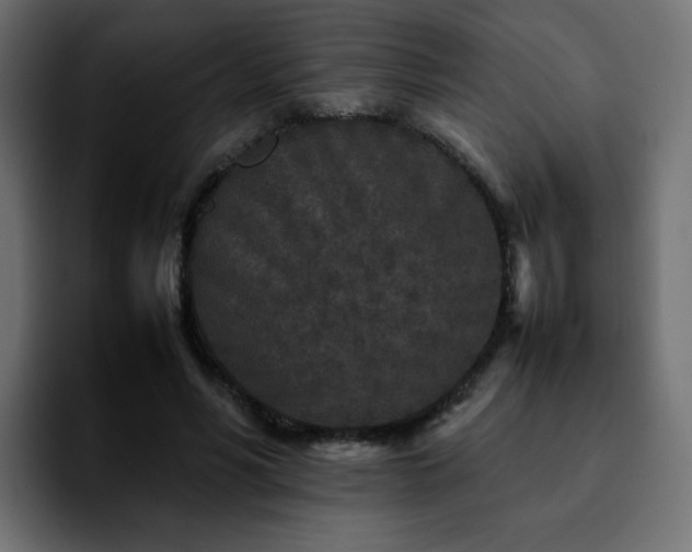 X0000092210590200709210951