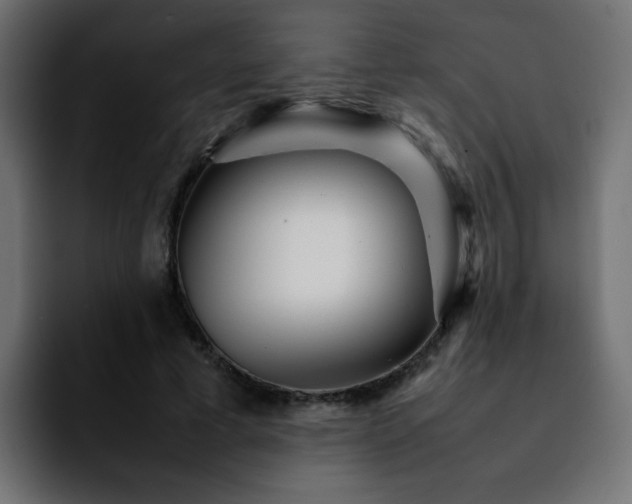 X0000092210593200709210951