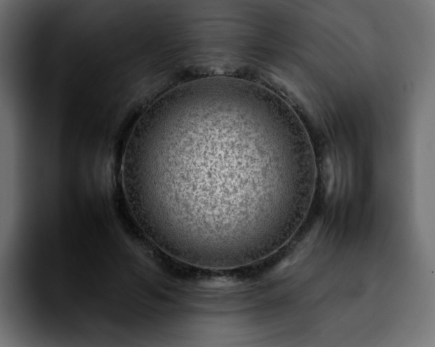 X0000092210594200709210951