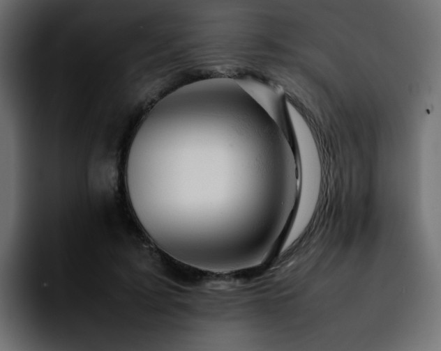 X0000092210595200709210951