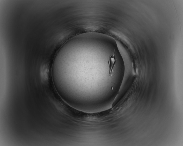 X0000092210596200709210951