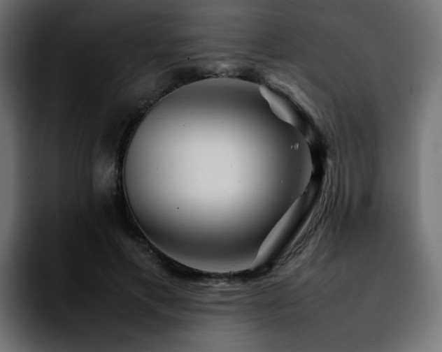 X0000092210597200709210951