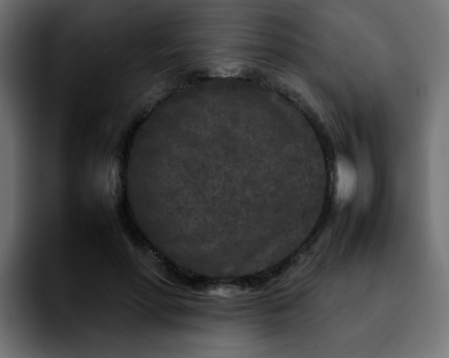 X0000092210598200709210951