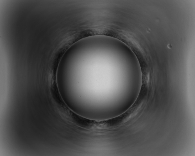 X0000092210599200709210951