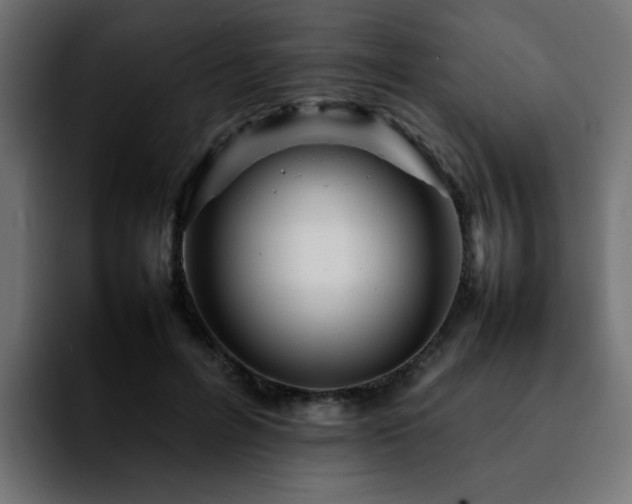 X0000092210600200709210951