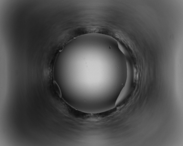 X0000092210601200709210951