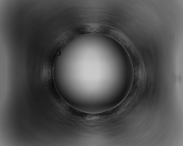 X0000092210602200709210951