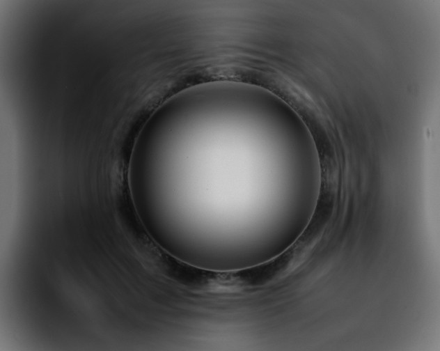 X0000092210603200709210951