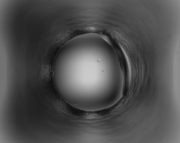 X0000092210605200709210951