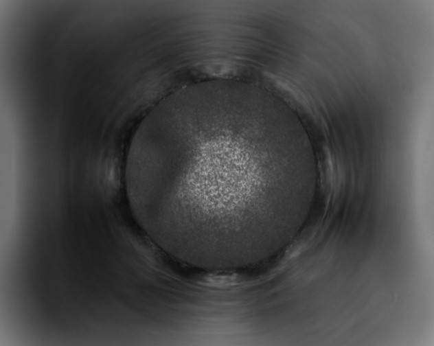 X0000092210606200709210951