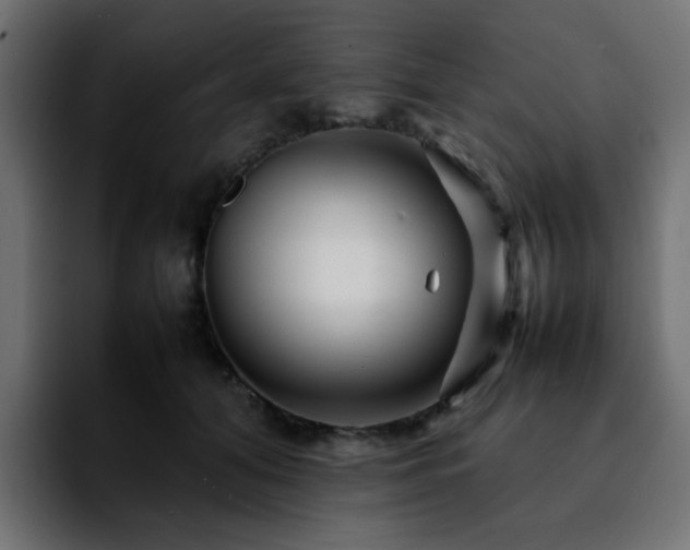 X0000092210608200709210951