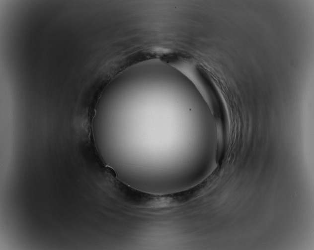 X0000092210609200709210951