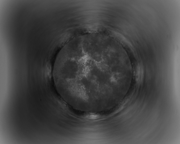 X0000092210610200709210951