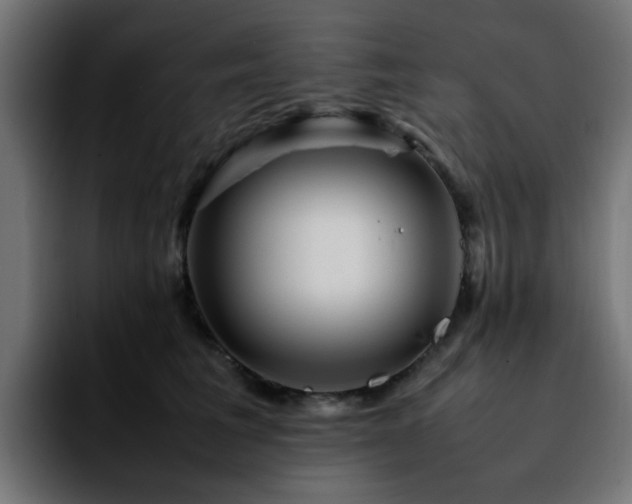 X0000092210613200709210951