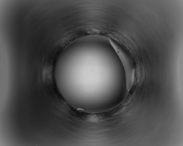 X0000092210616200709210951